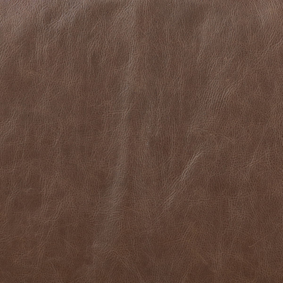 #color_havana-brown