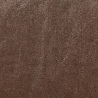 #color_havana-brown