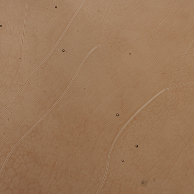 Yoko Grand Coffee Table