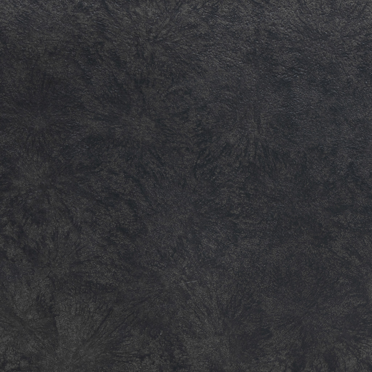 #color_raw-black