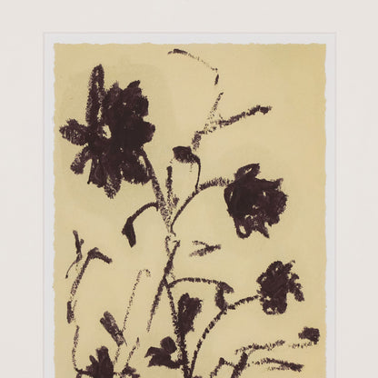 Meadow Rue Set By Shaina Page