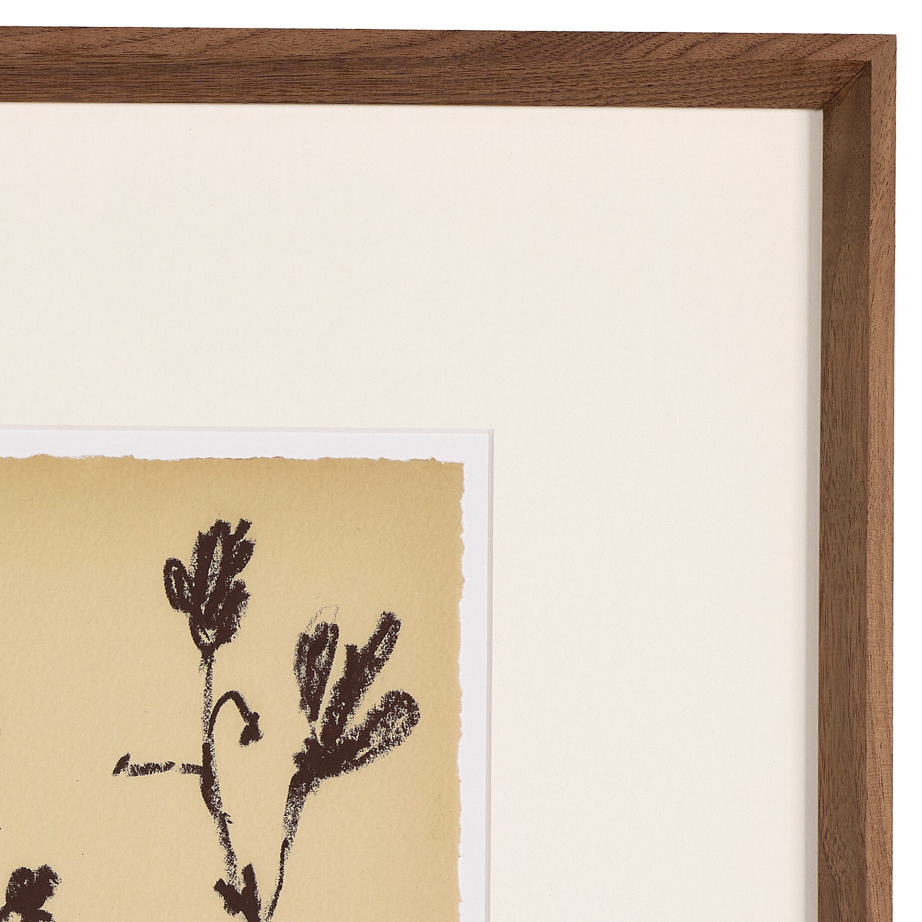 Meadow Rue Set By Shaina Page