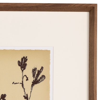 Meadow Rue Set By Shaina Page