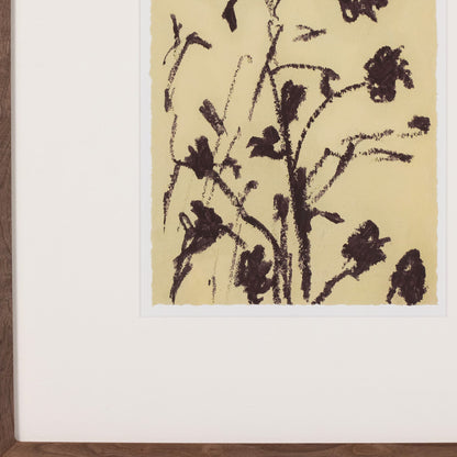Meadow Rue Set By Shaina Page