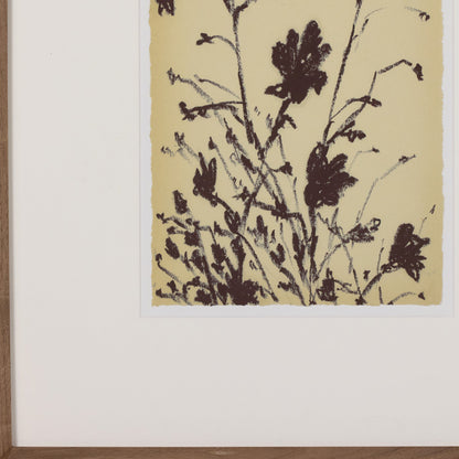 Meadow Rue Set By Shaina Page