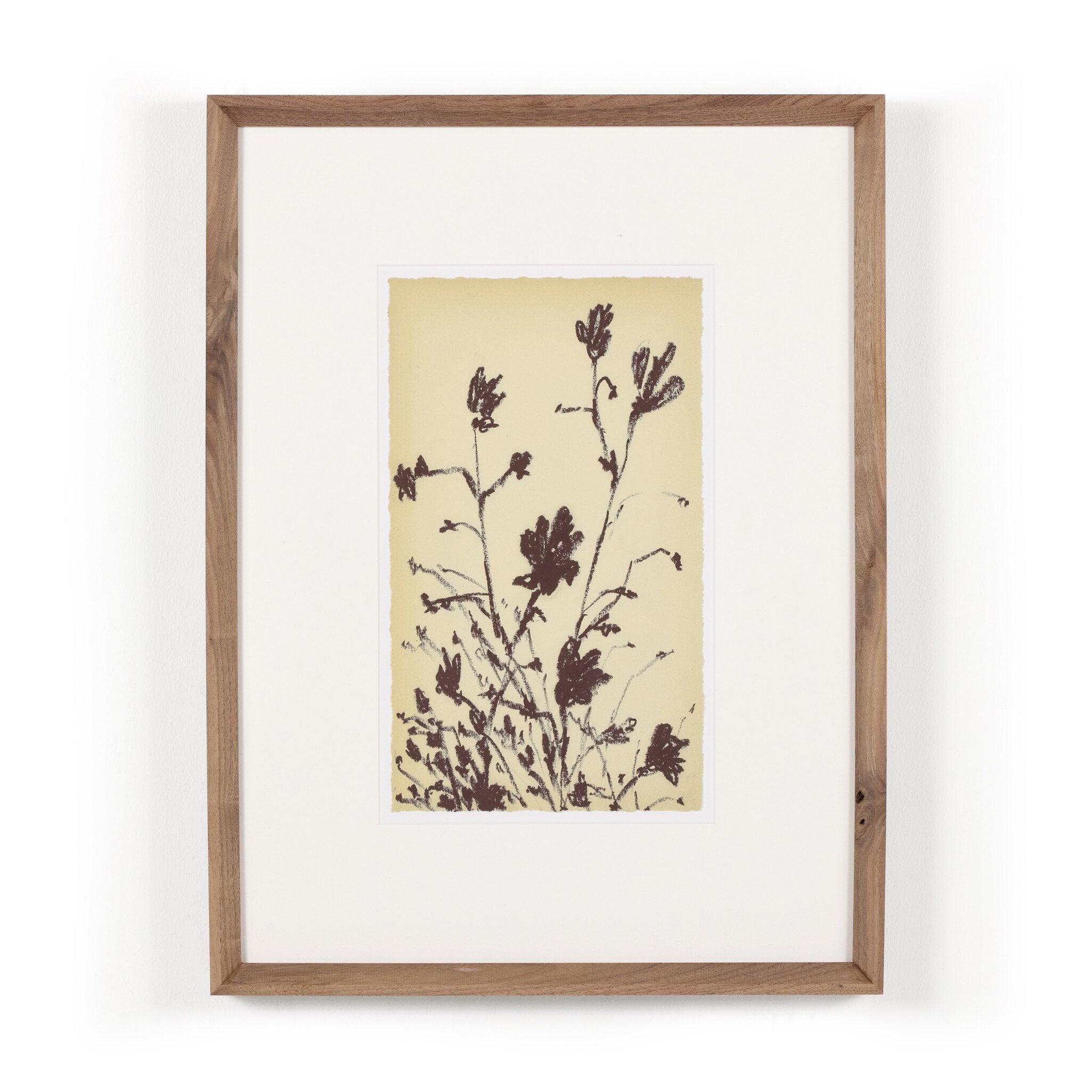 Meadow Rue Set By Shaina Page