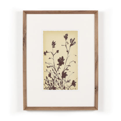 Meadow Rue Set By Shaina Page