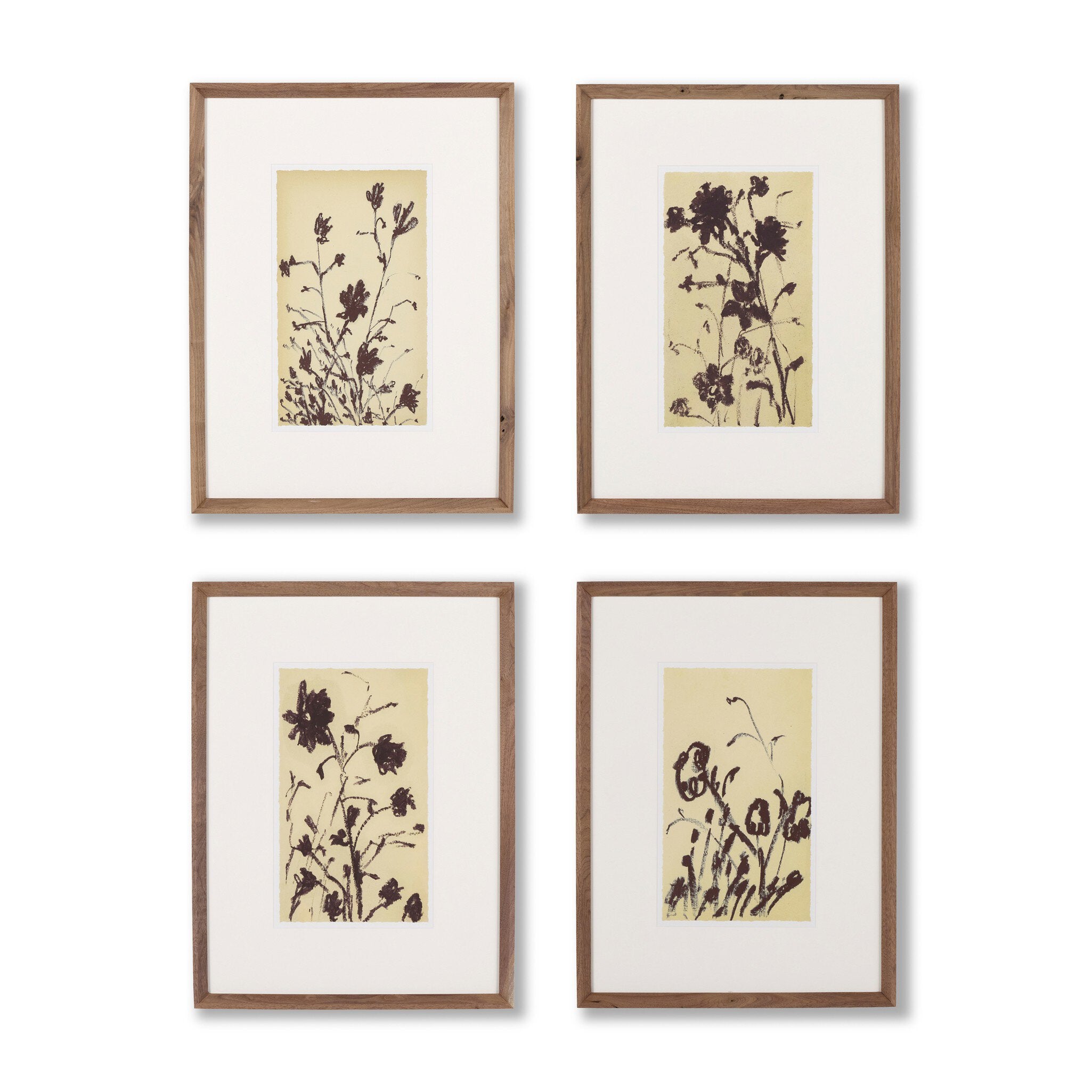 Meadow Rue Set By Shaina Page