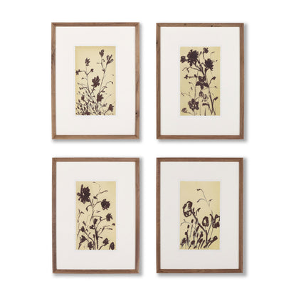 Meadow Rue Set By Shaina Page