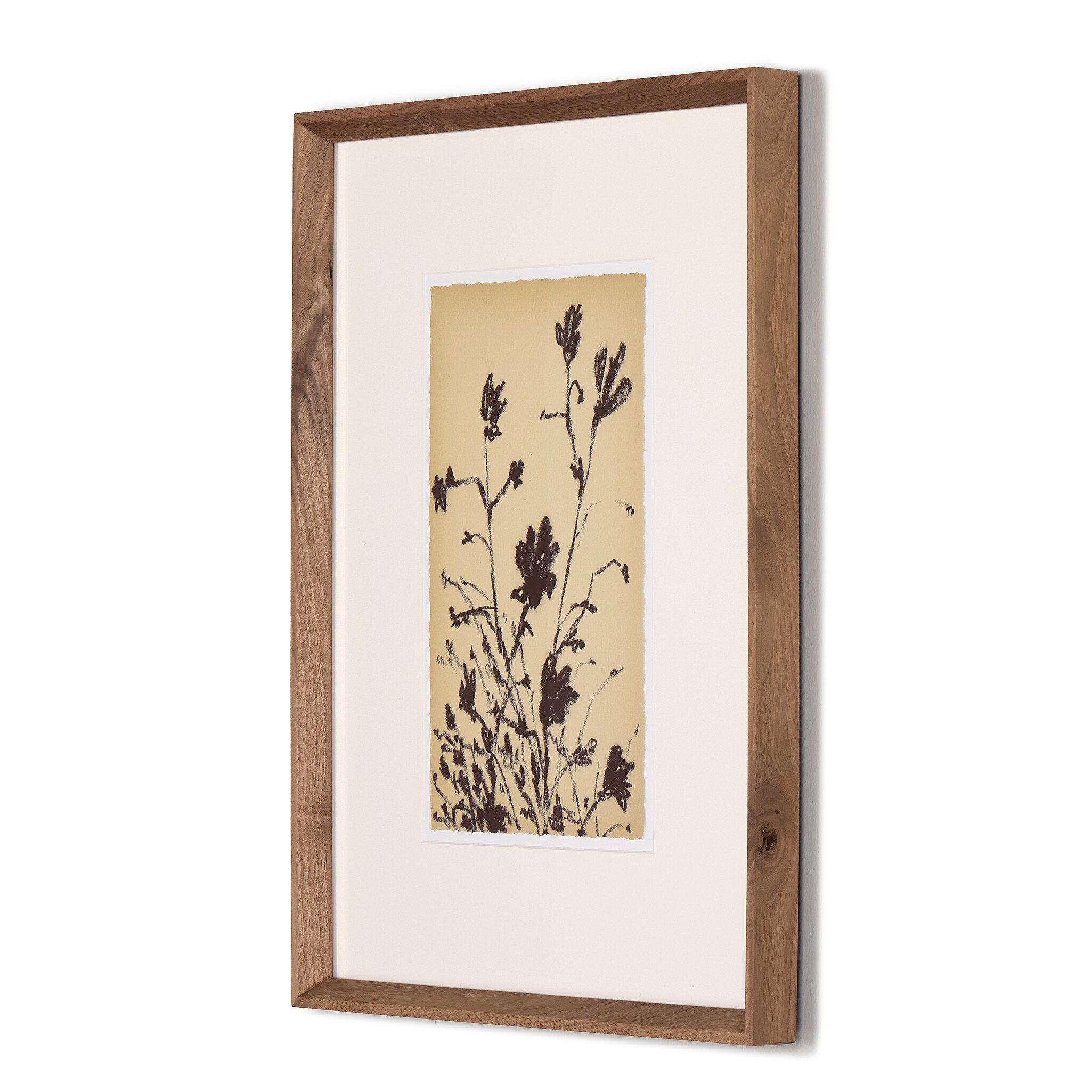 Meadow Rue Set By Shaina Page