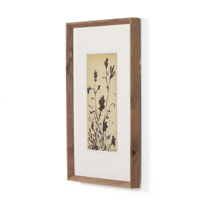 Meadow Rue Set By Shaina Page