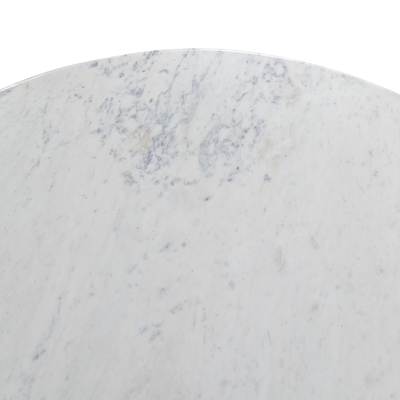 #color_polished-white-marble-w/-sealant