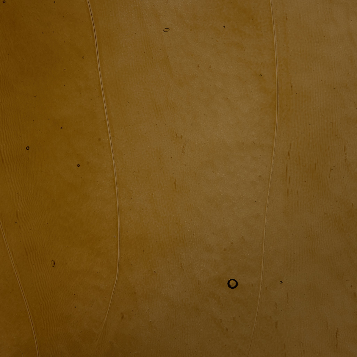 #color_amber-cast-glass