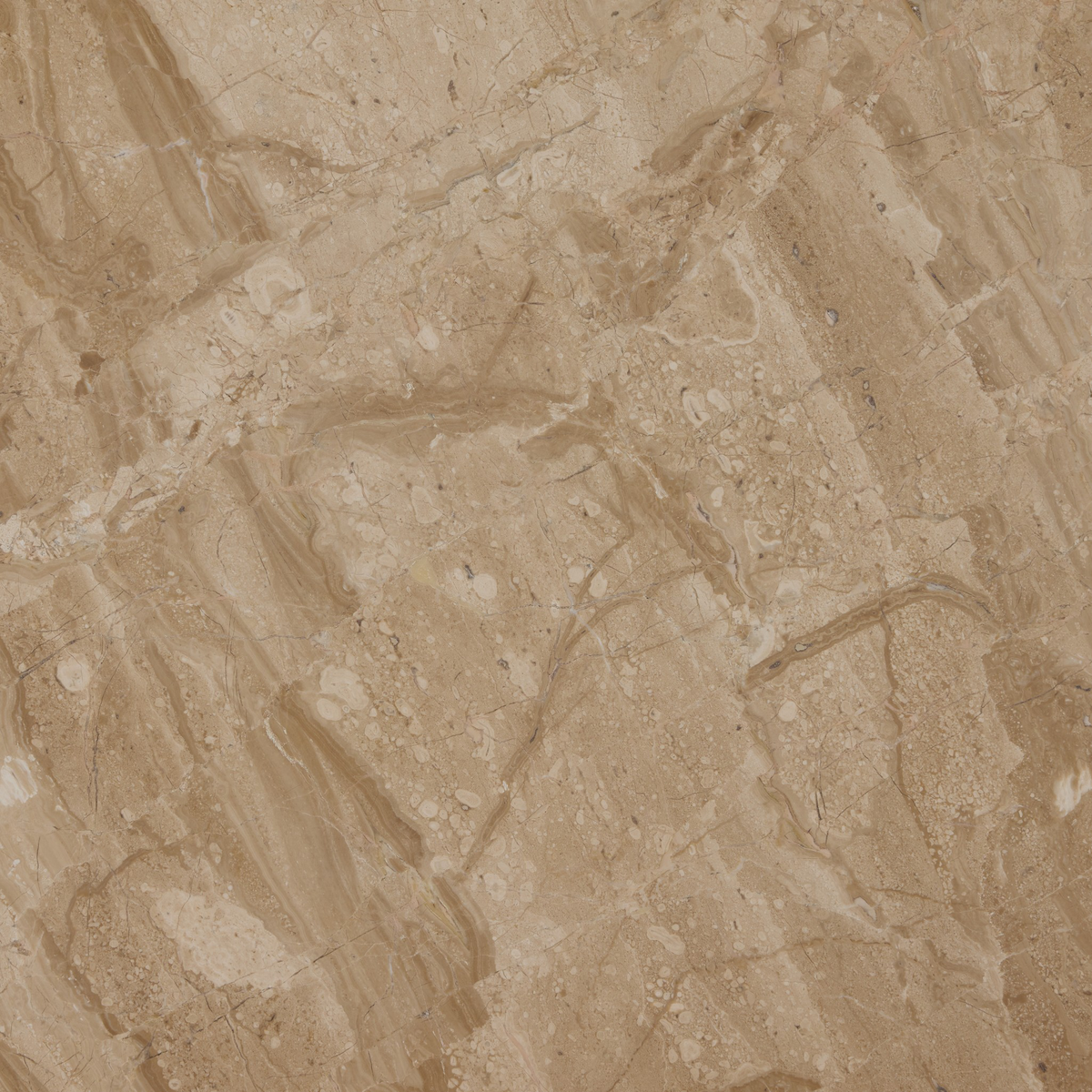 #color_sand-marble