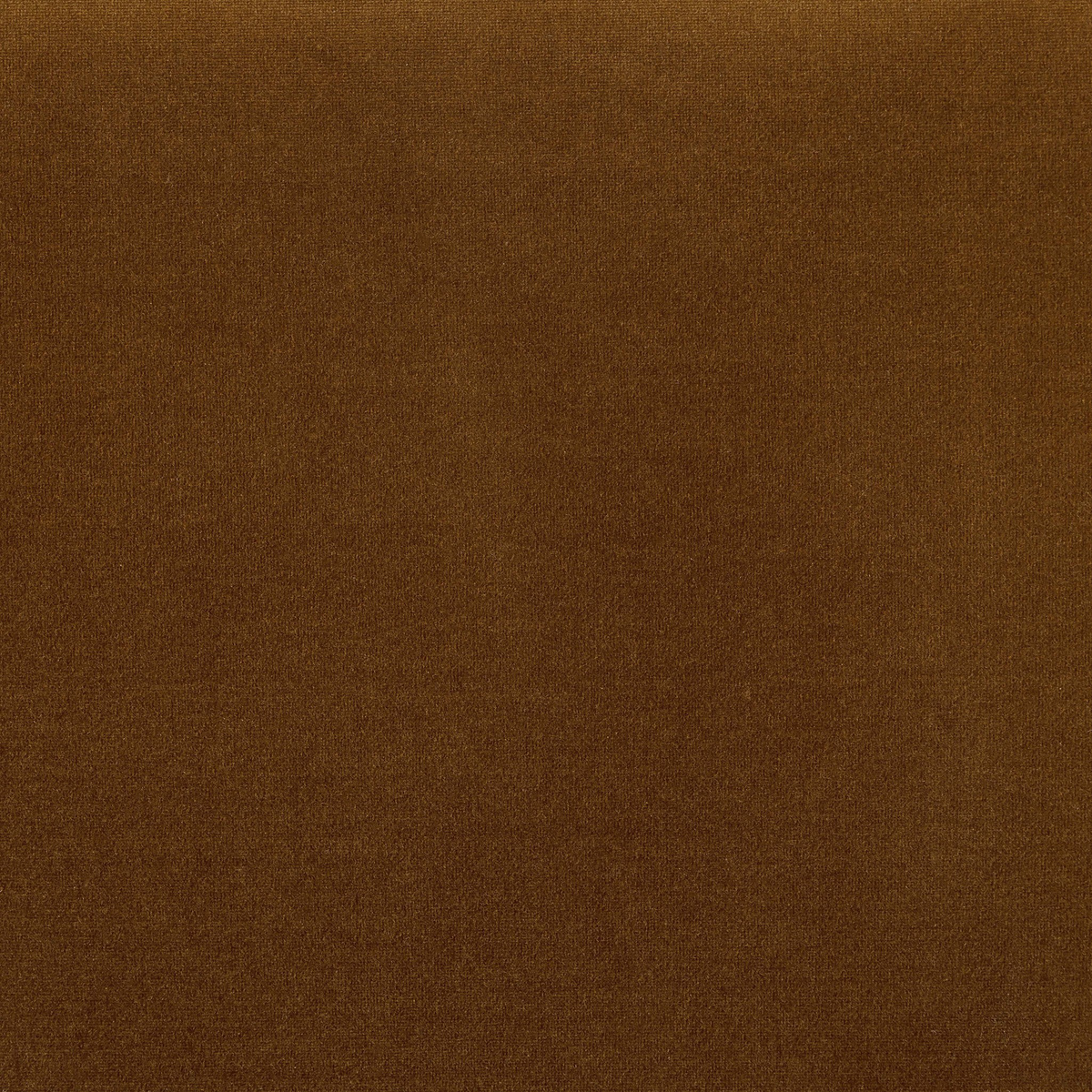 #color_surrey-ochre