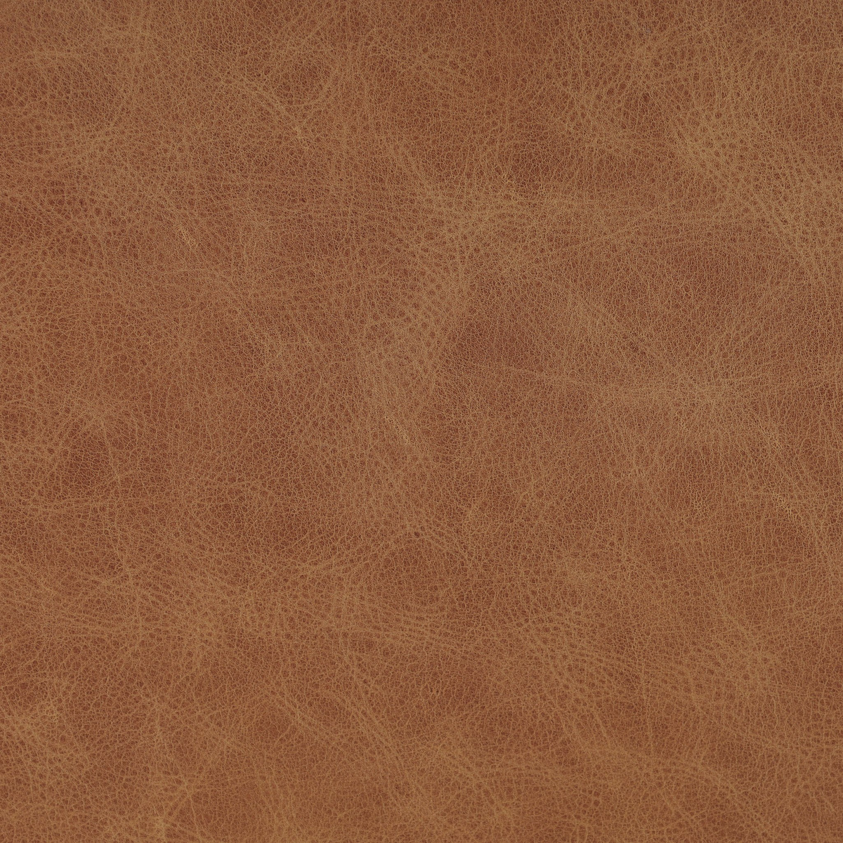 #color_chaps-saddle