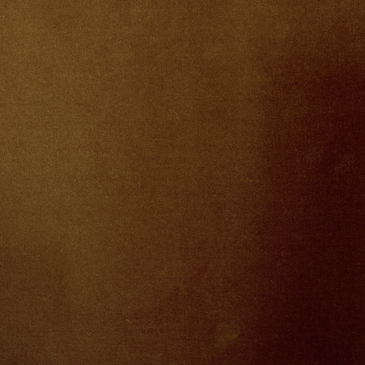 #color_surrey-ochre