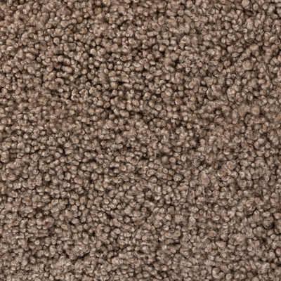 #color_taupe-shearling