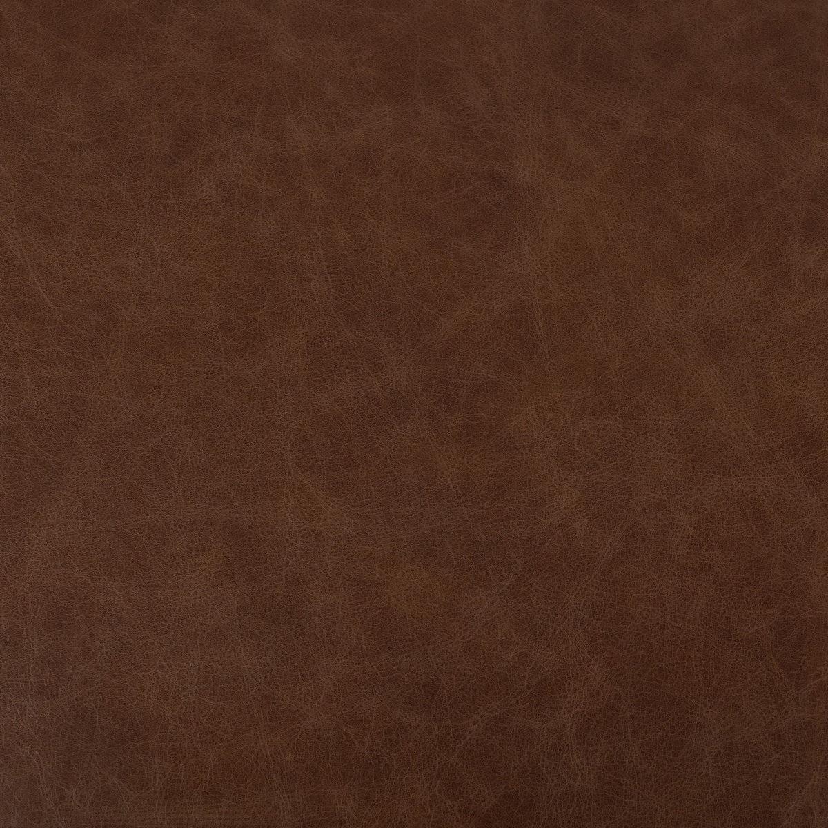 #color_havana-brown