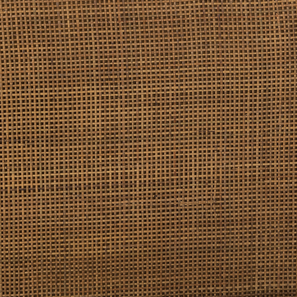 #color_havana-brown