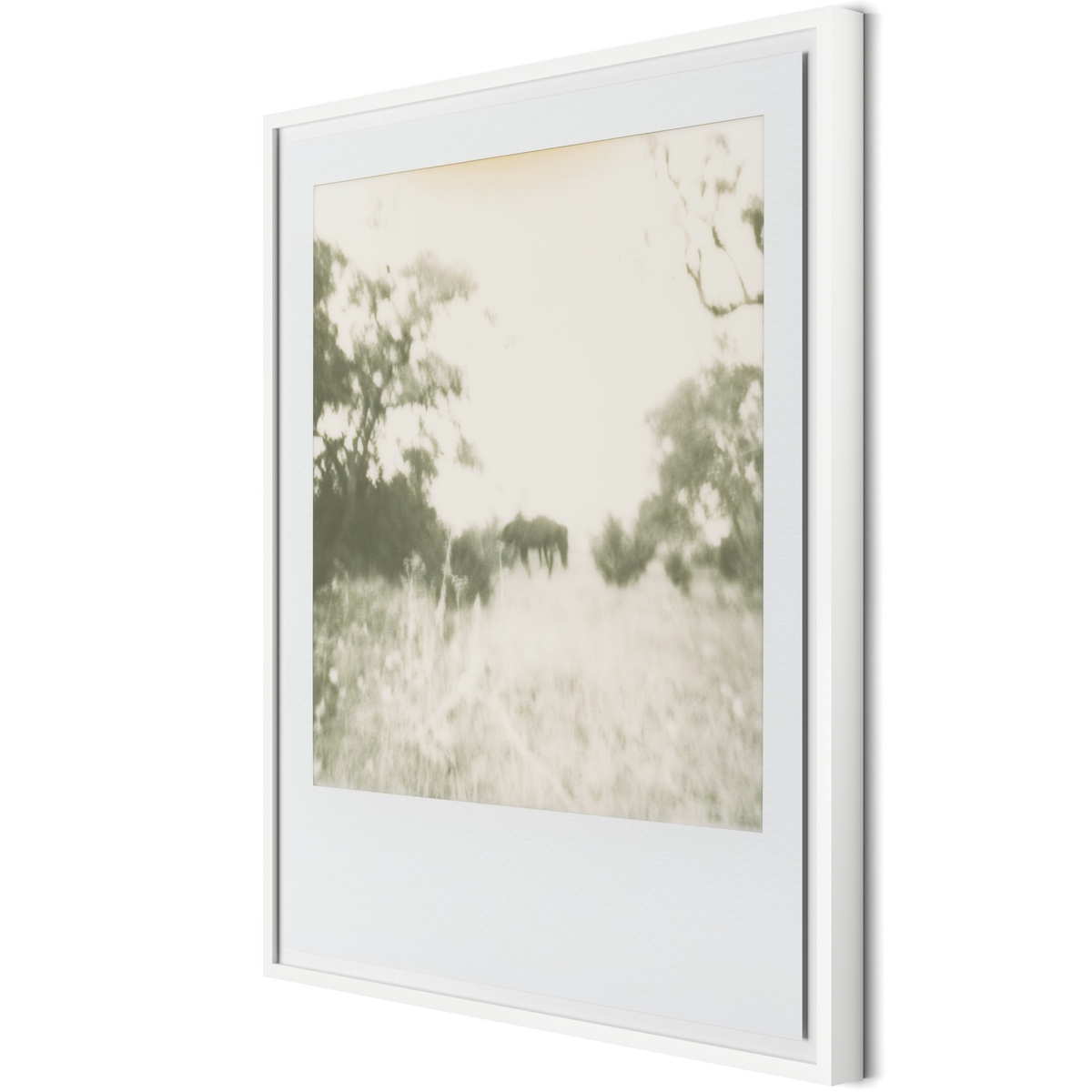 #color_white-2.5-maple