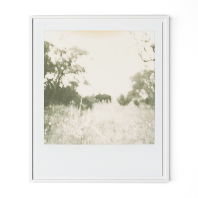#color_white-2.5-maple
