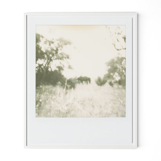 #color_white-2.5-maple