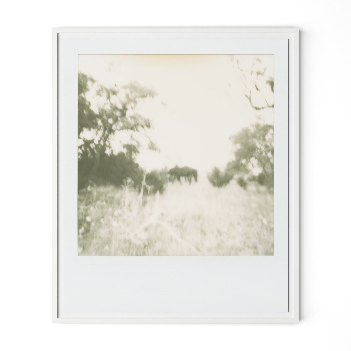 #color_white-2.5-maple