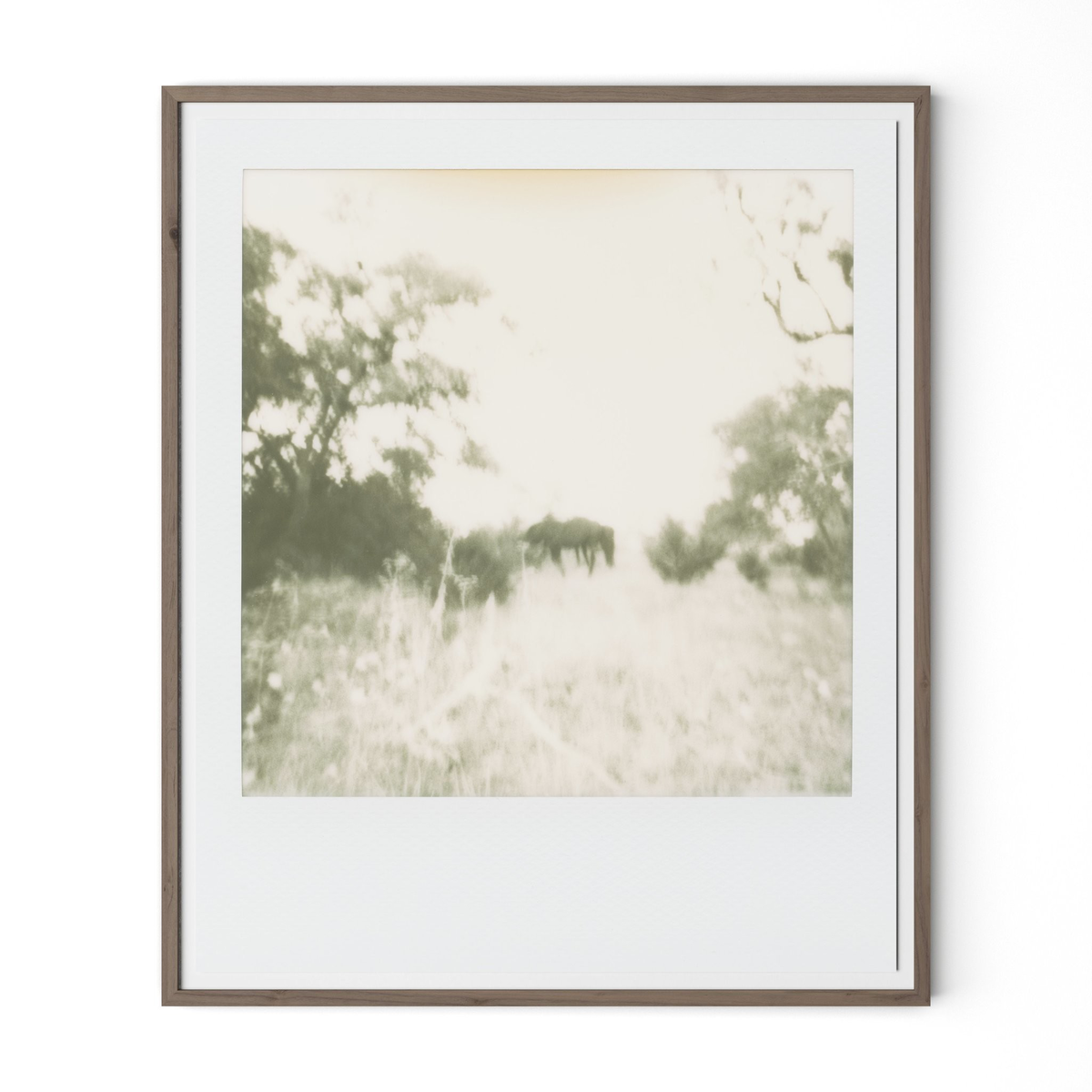 #color_rustic-2.5-walnut