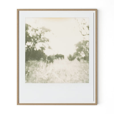 Horses By Darden Smith by Four Hands