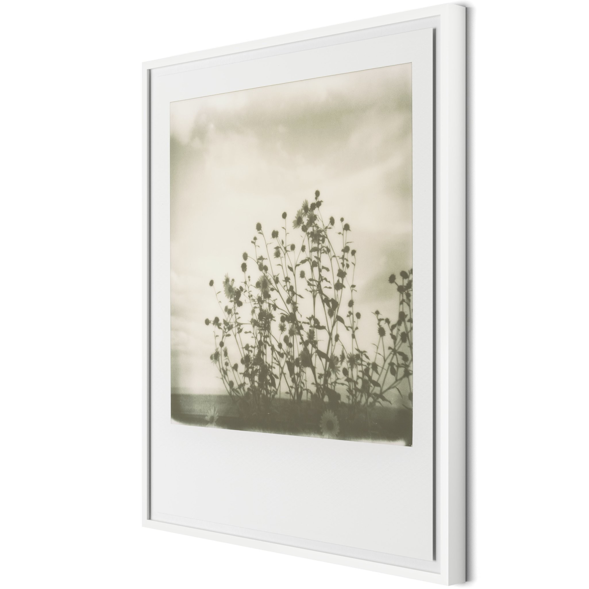 #color_white-2.5-maple