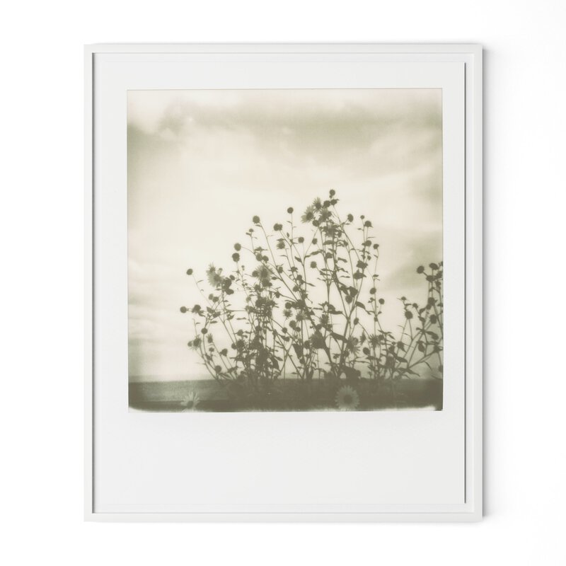 #color_white-2.5-maple