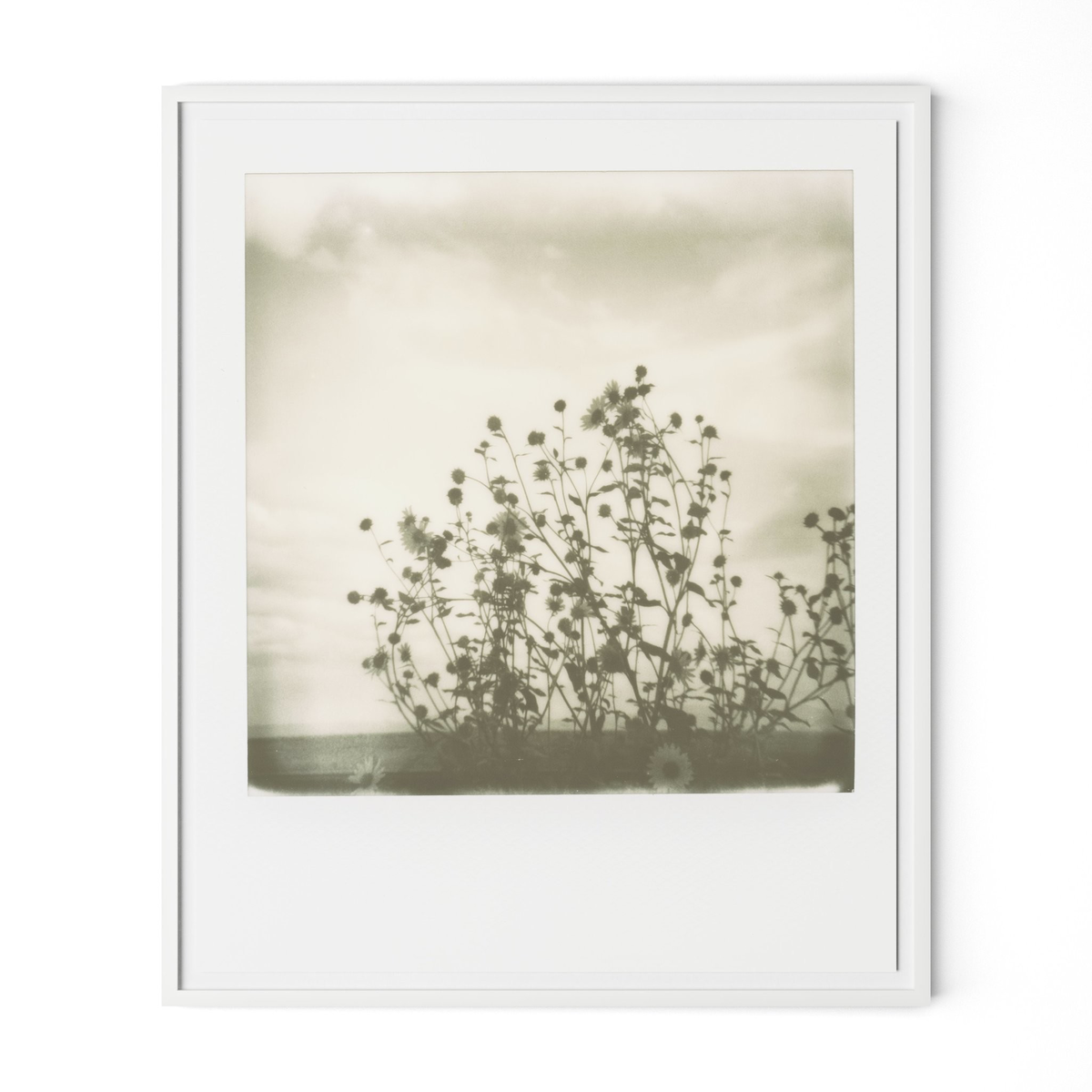 #color_white-2.5-maple