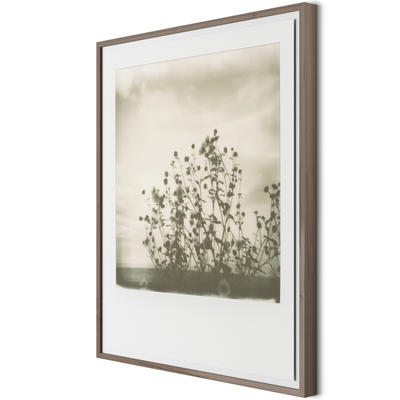 Sunflowers By Darden Smith by Four Hands