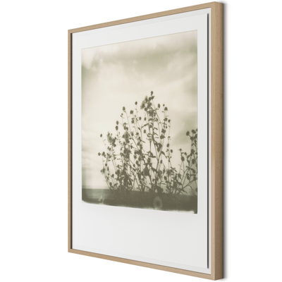 Sunflowers By Darden Smith by Four Hands