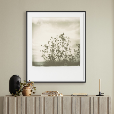 Sunflowers By Darden Smith by Four Hands