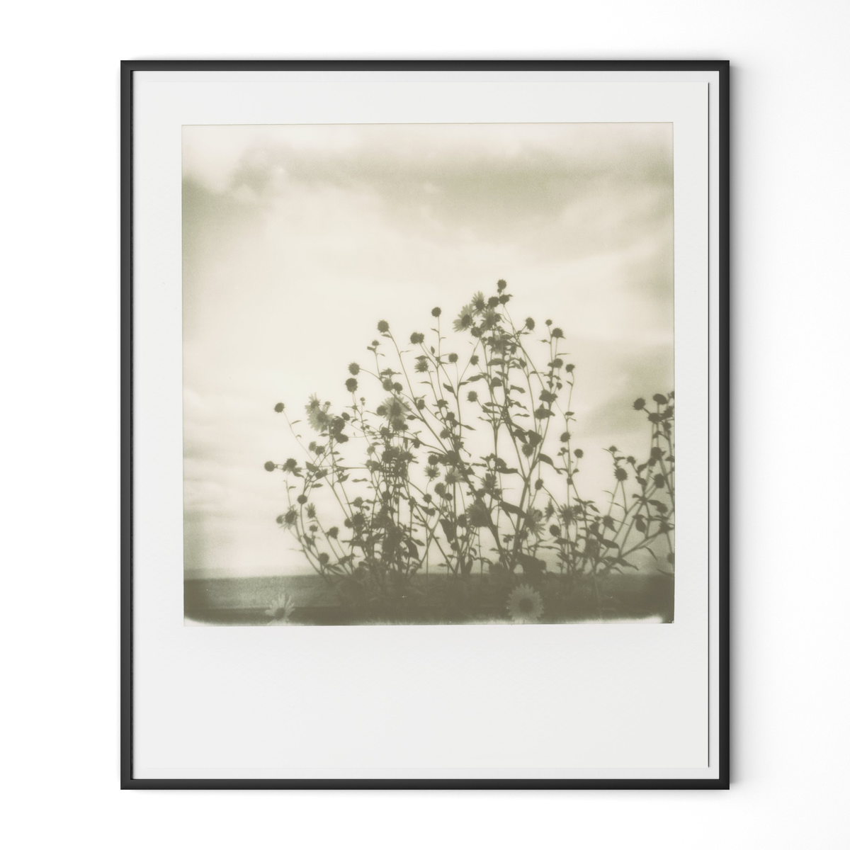 #color_black-2.5-maple