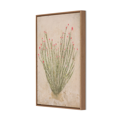 Ocotillo By Paul Meyer by Four Hands