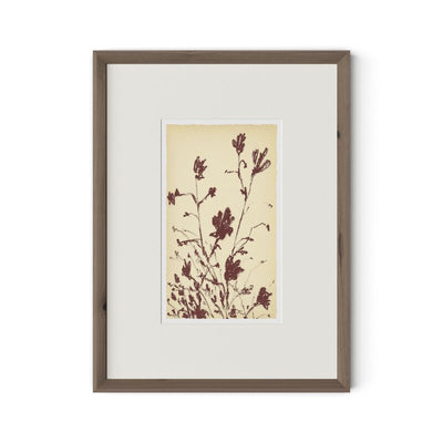 #color_rooftop-1.5-rustic-walnut
