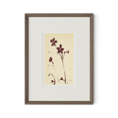 #color_rooftop-1.5-rustic-walnut
