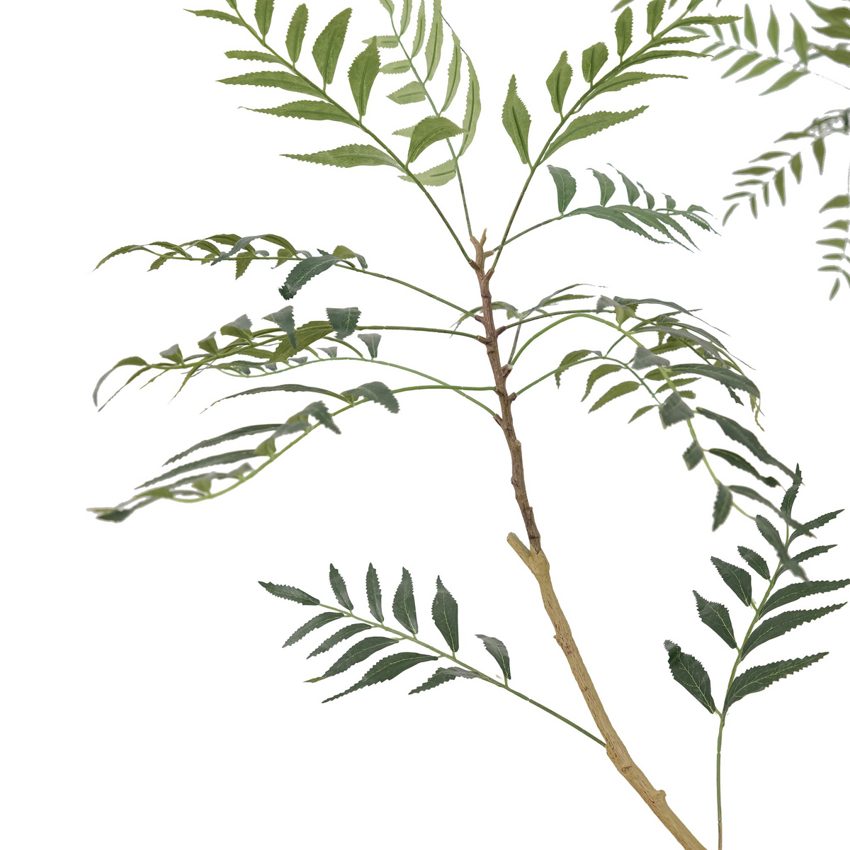 Faux Neem Tree by Four Hands