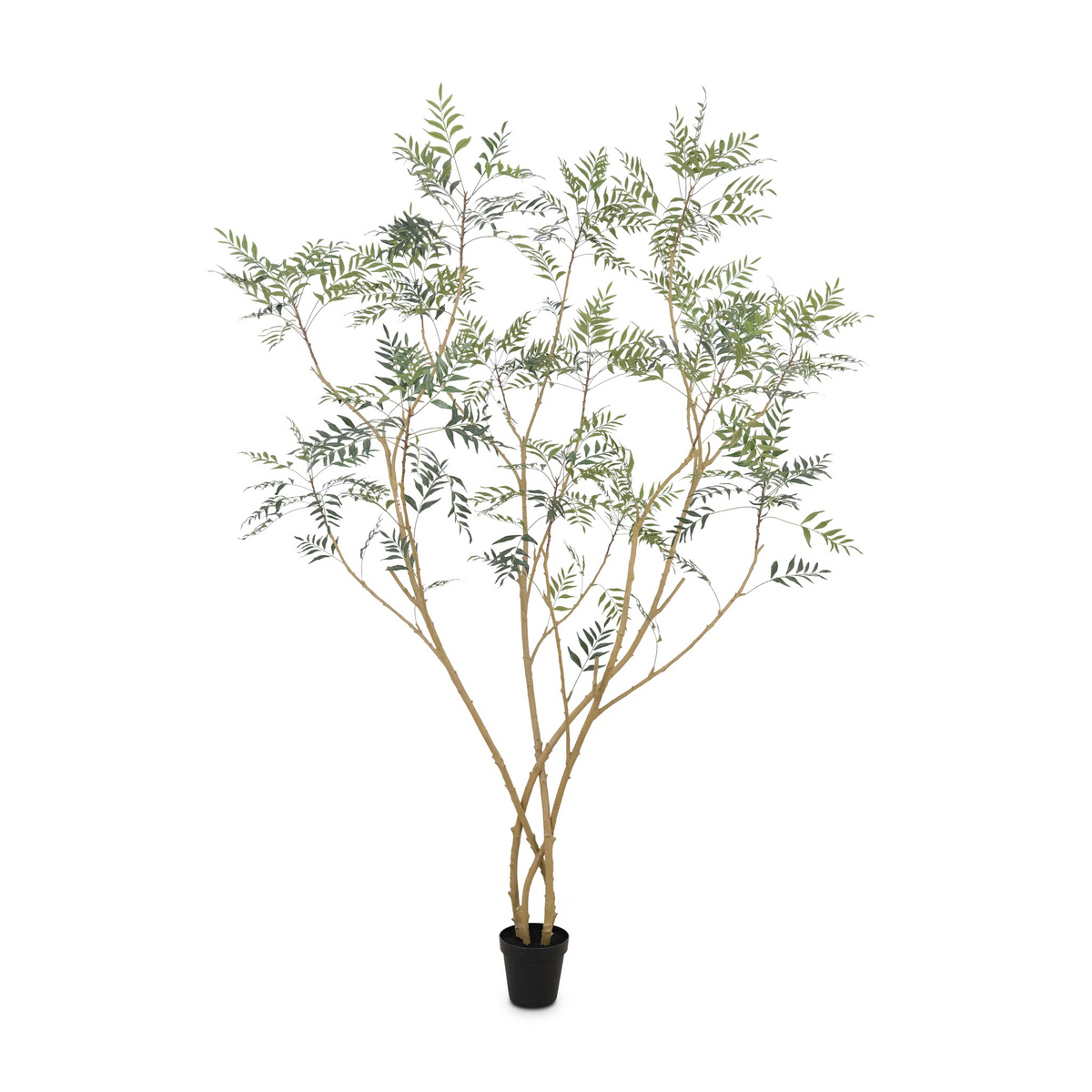 #color_faux-neem-tree