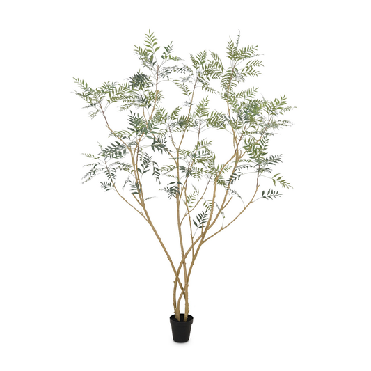 #color_faux-neem-tree