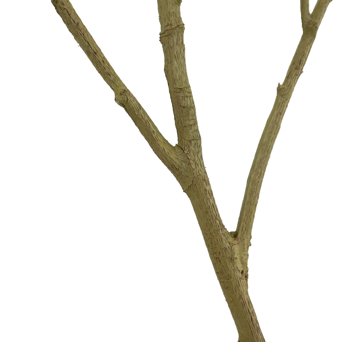 Faux Neem Tree by Four Hands