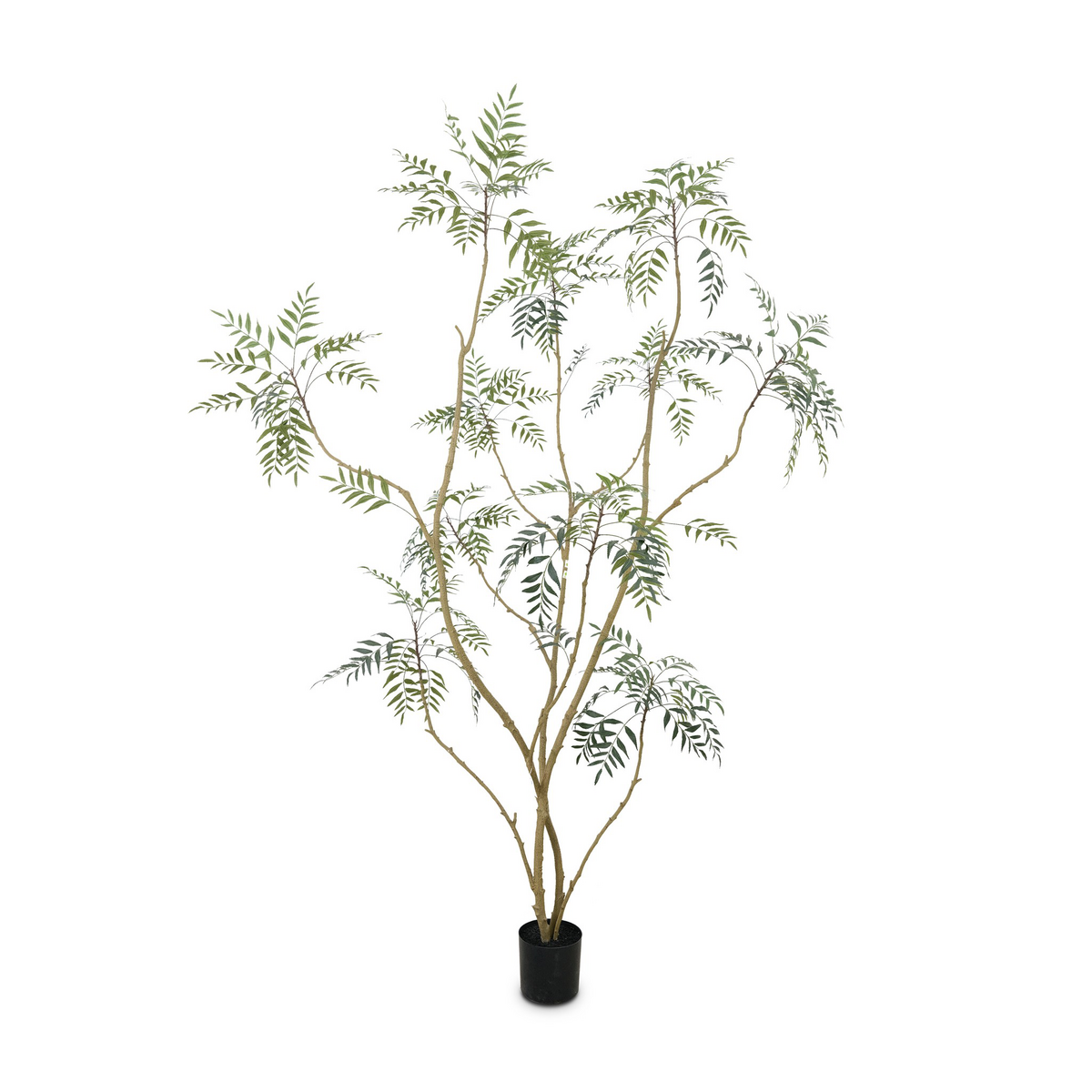 Faux Neem Tree by Four Hands
