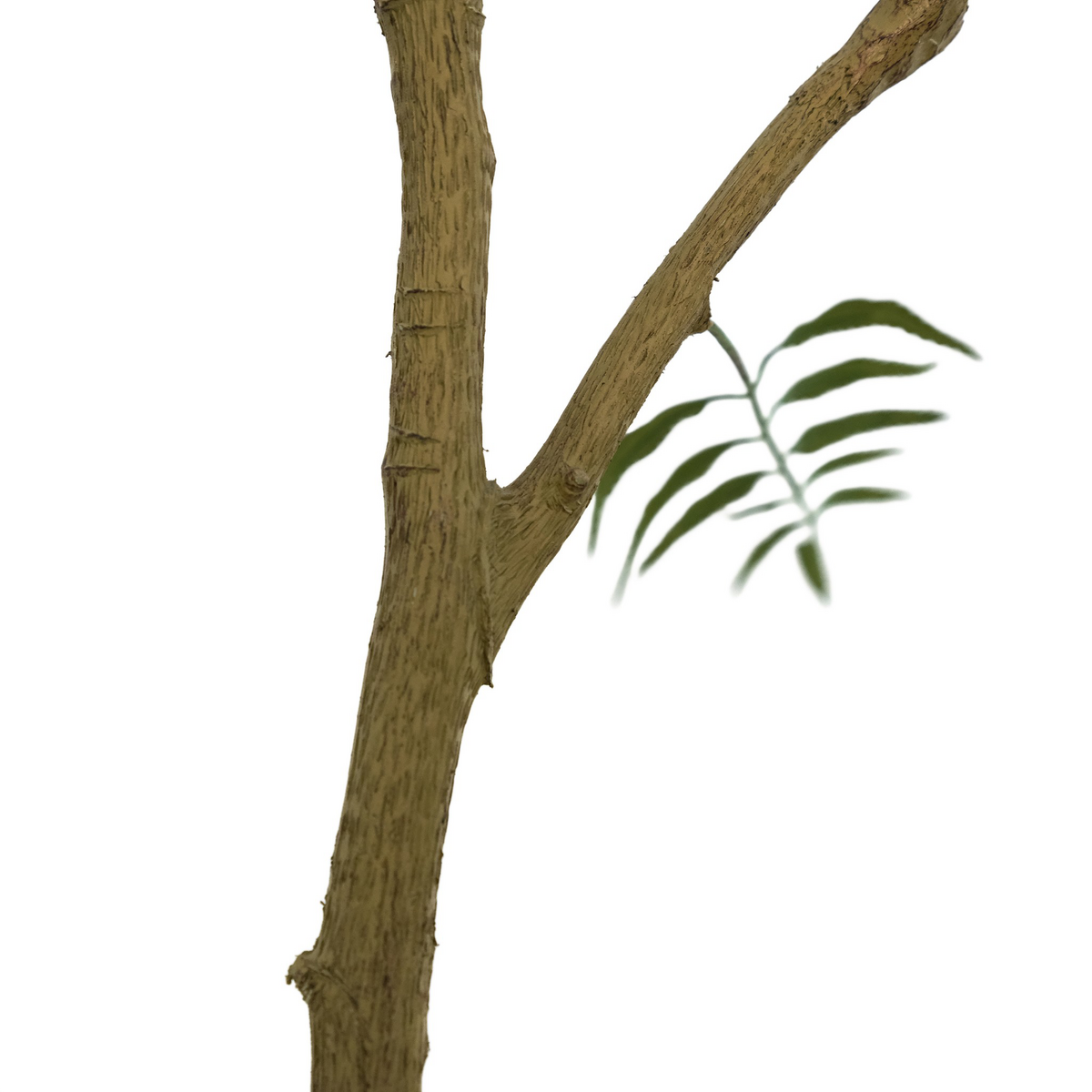 Faux Neem Tree by Four Hands