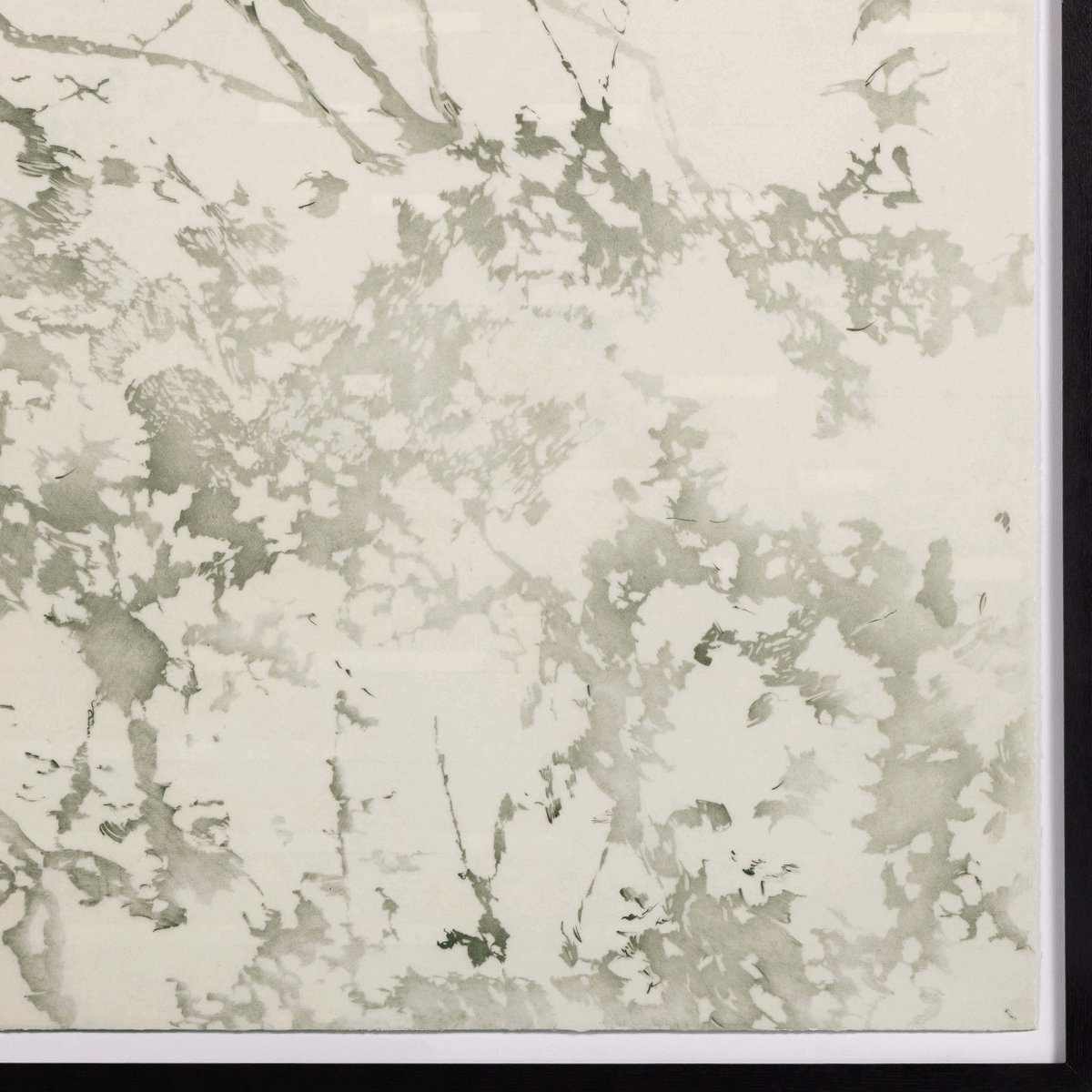 #color_black-vertical-grain-2.5-white-oak