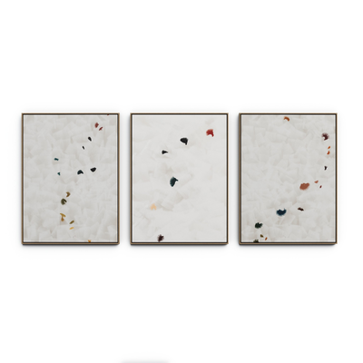 In Flight Triptych By Patricia Vargas by Four Hands