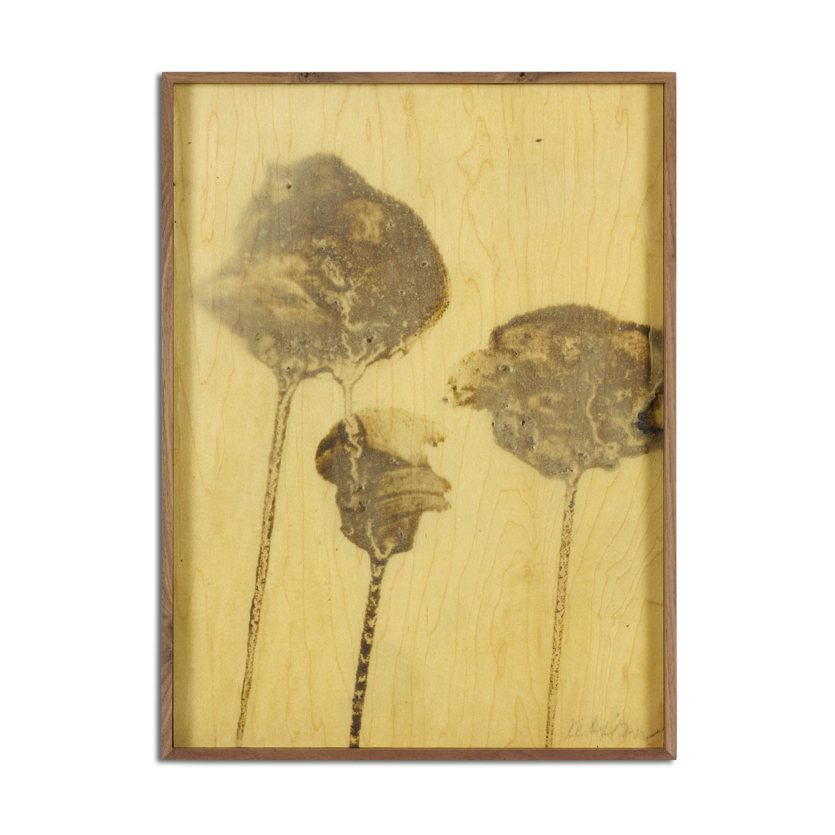 Lutare Diptych By Kelly Rogers by Four Hands