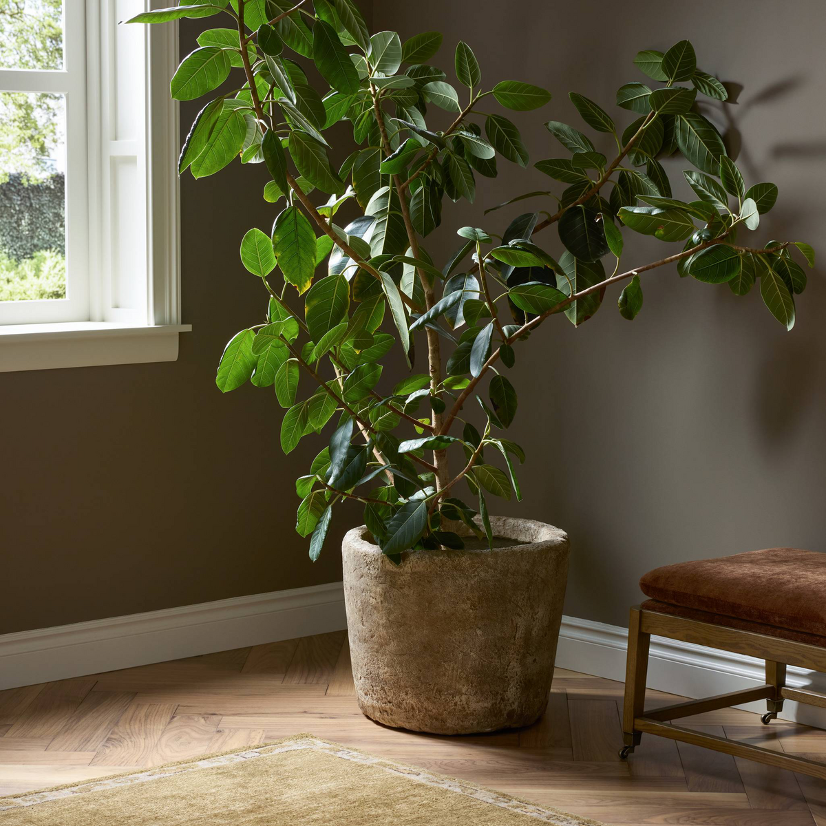 Aziel Planter by Four Hands